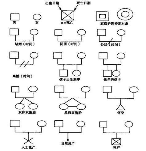 兩地家庭意思